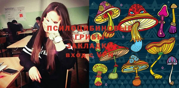 стафф Инсар