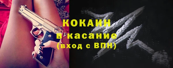 крисы Инта