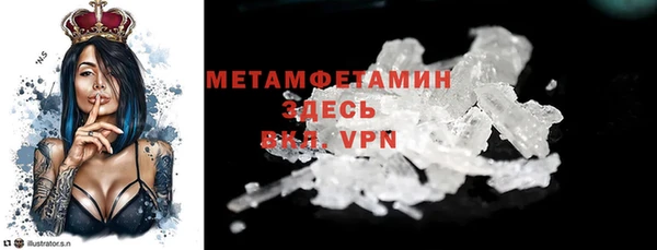 крисы Инта