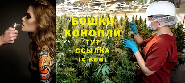 шишки Зерноград