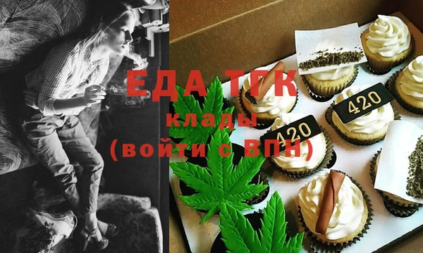 крисы Инта