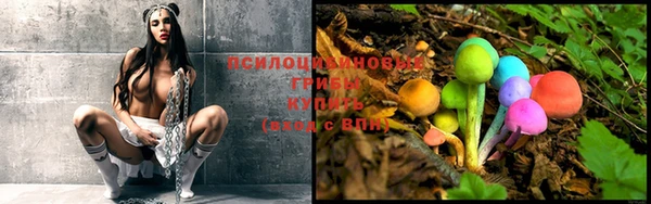 прущие грибы Зеленокумск