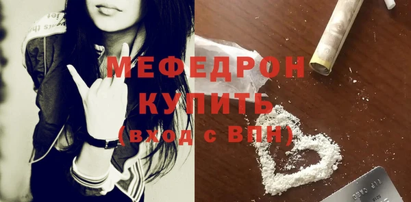 крисы Инта