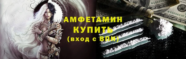 крисы Инта
