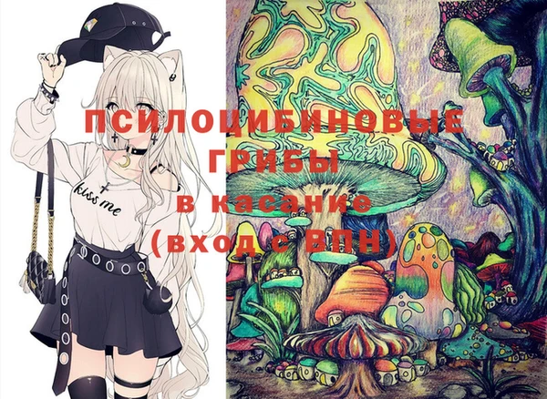 прущие грибы Зеленокумск