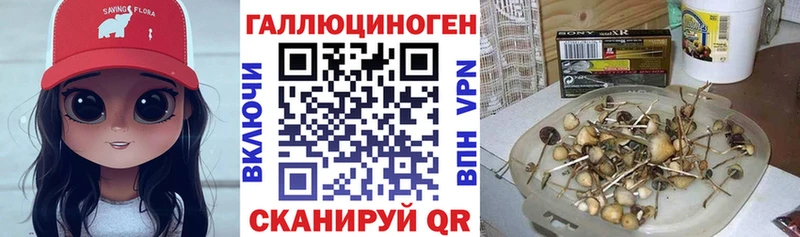 Галлюциногенные грибы Cubensis  Купить закладки  Дальнереченск 